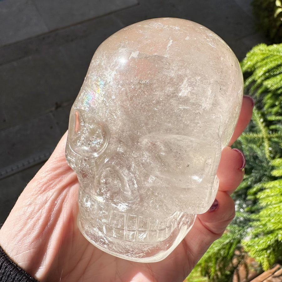 Lemurian Quartz Crystal Skull with Rainbows Carved by Leandro de Souza