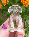 Sirius Quartz Crystal Puppy Carved by Leandro de Souza