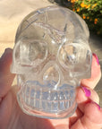 Clear Sirius Quartz Crystal Skull with Rainbows Carved by Leandro de Souza