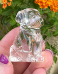 Sirius Quartz Crystal Puppy Carved by Leandro de Souza