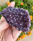 Amethyst Geode Raw