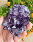 Amethyst Geode Raw