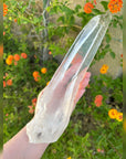 Powerhouse Lemurian Quartz Crystal from Diamantina Brazil