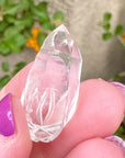 Sirius Quartz Crystal Mini Dragon Carved by Leandro de Souza