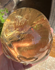 Ultra Clear Citrine Star Child Crystal Skull Carved by Leandro de Souza