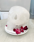 AKASHA Himalayan Quartz Master Crystal Skull Ancient Skull Energized