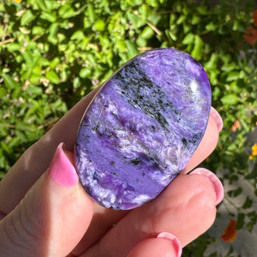 Charoite Crystal Palm Stone
