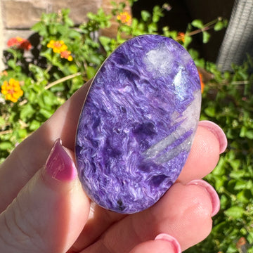 Charoite Crystal Palm Stone