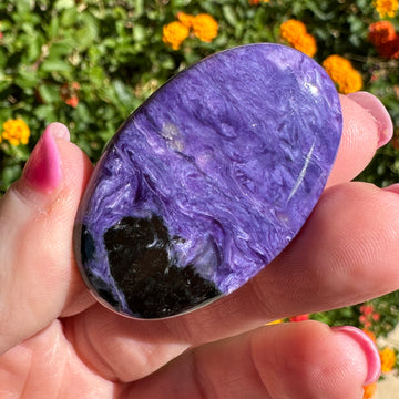 Charoite Crystal Palm Stone