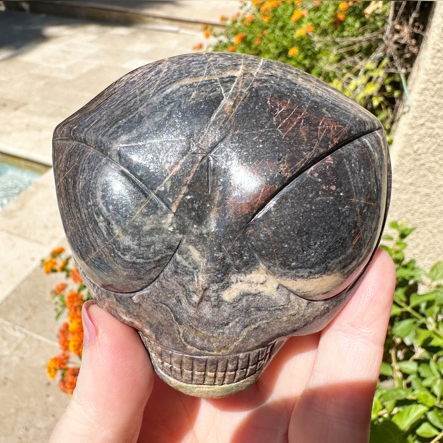 Richterite Starbeing Palm Crystal Skull Carved by Leandro de Souza