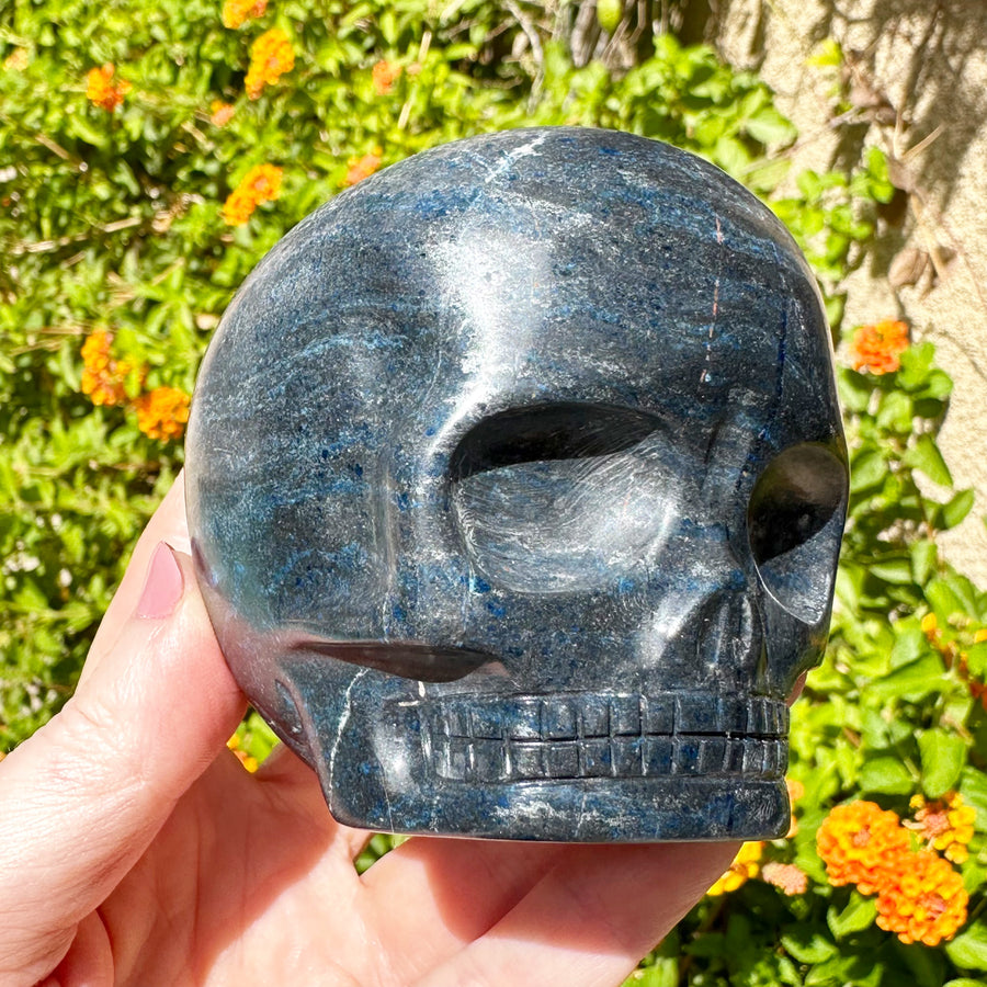 Blue Richterite Magical Child Crystal Skull Carved by Leandro de Souza