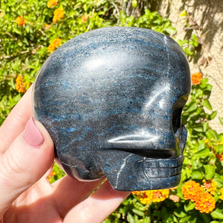 Blue Richterite Magical Child Crystal Skull Carved by Leandro de Souza