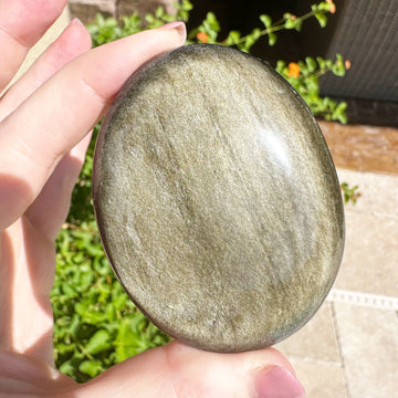Gold Sheen Obsidian Palm Stone