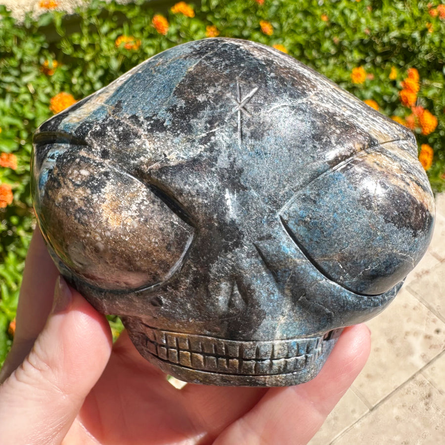 Large Blue Richterite Starbeing Palm Crystal Skull Carved by Leandro de Souza