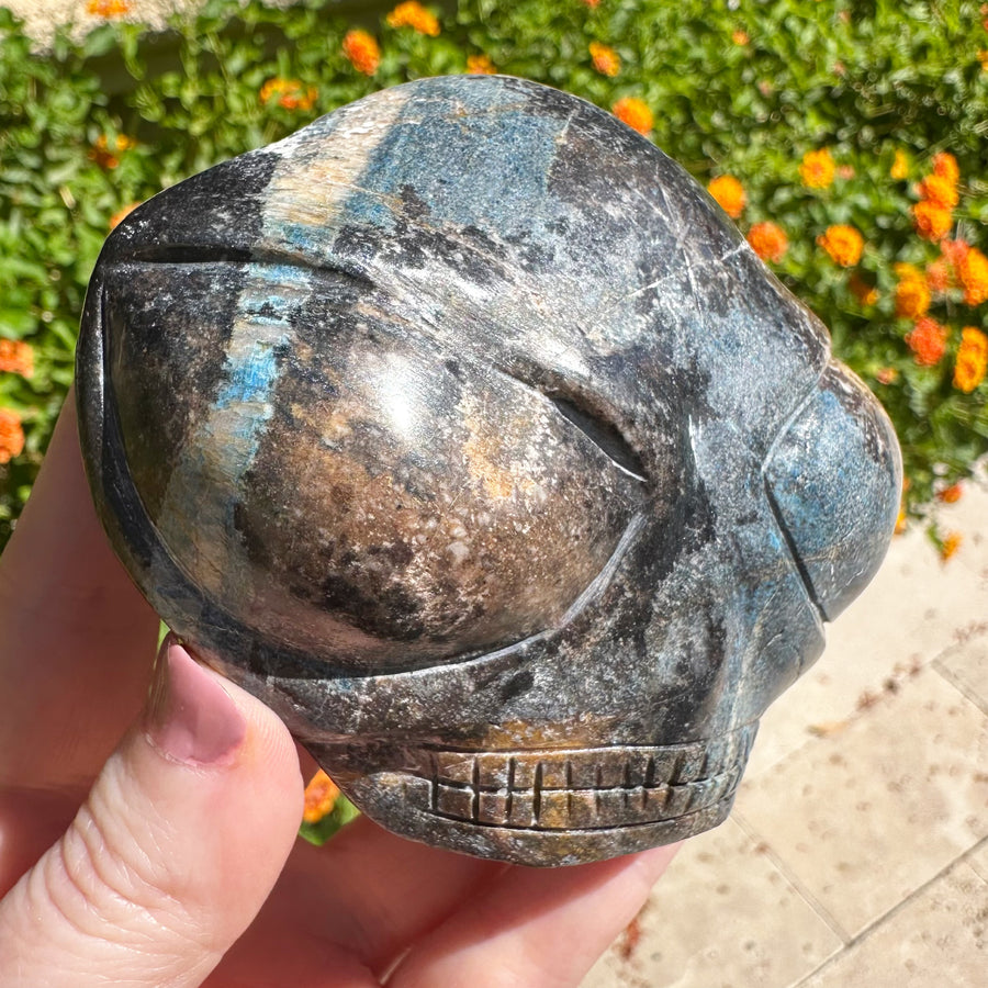 Large Blue Richterite Starbeing Palm Crystal Skull Carved by Leandro de Souza