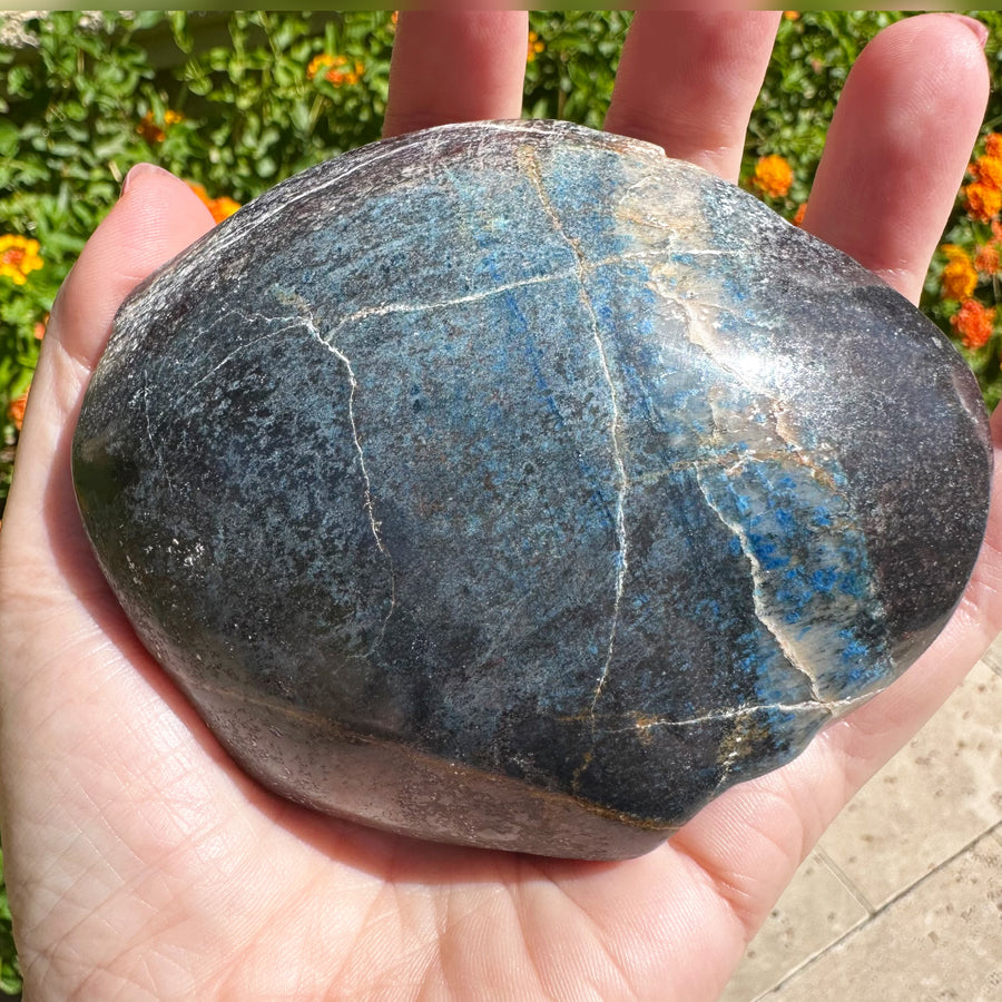 Large Blue Richterite Starbeing Palm Crystal Skull Carved by Leandro de Souza