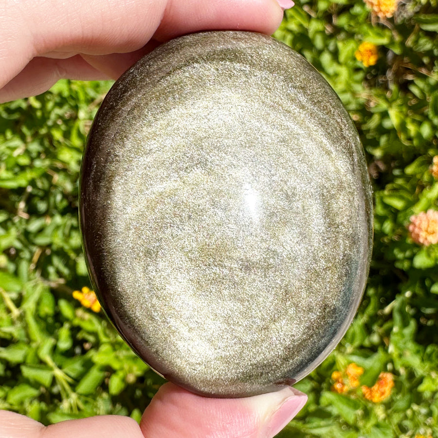 Gold Sheen Obsidian Palm Stone