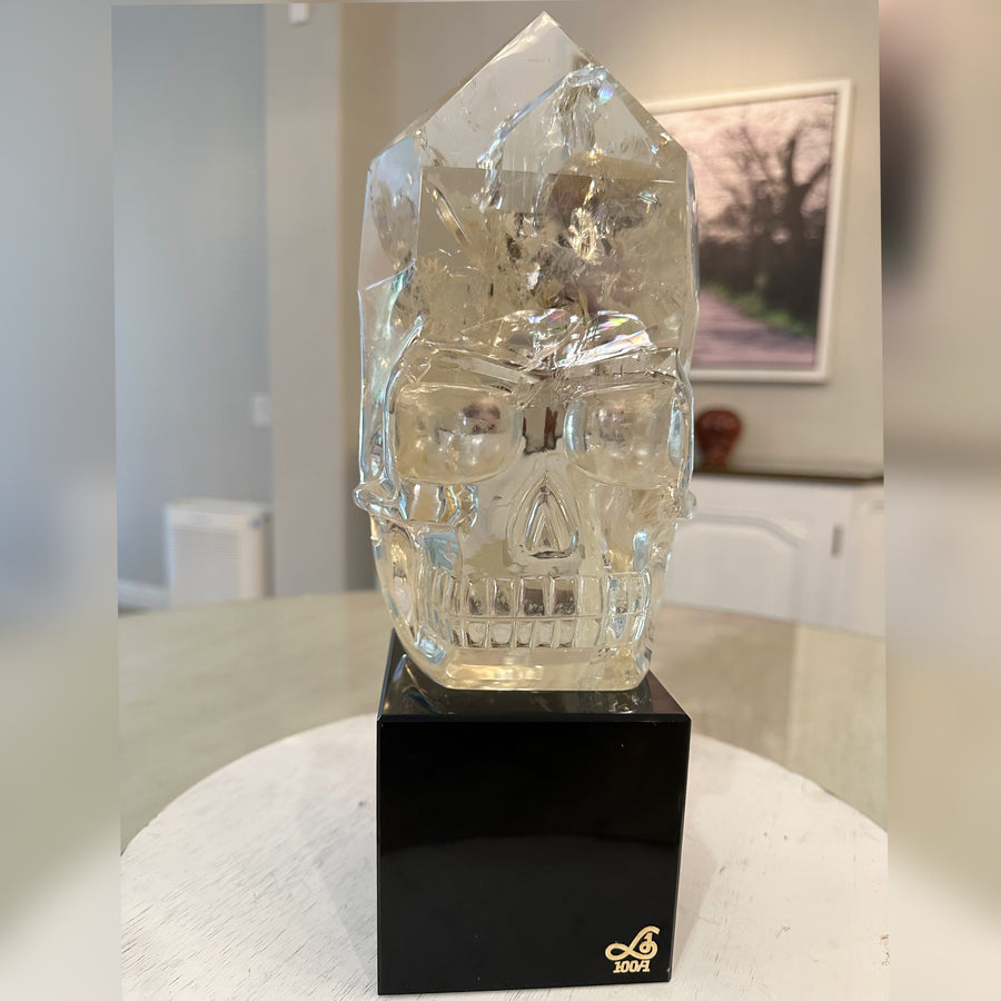 Circle 100-1 Angel Wing Citrine Master Flame Crystal Skull Carved by Leandro de Souza with Rainbows