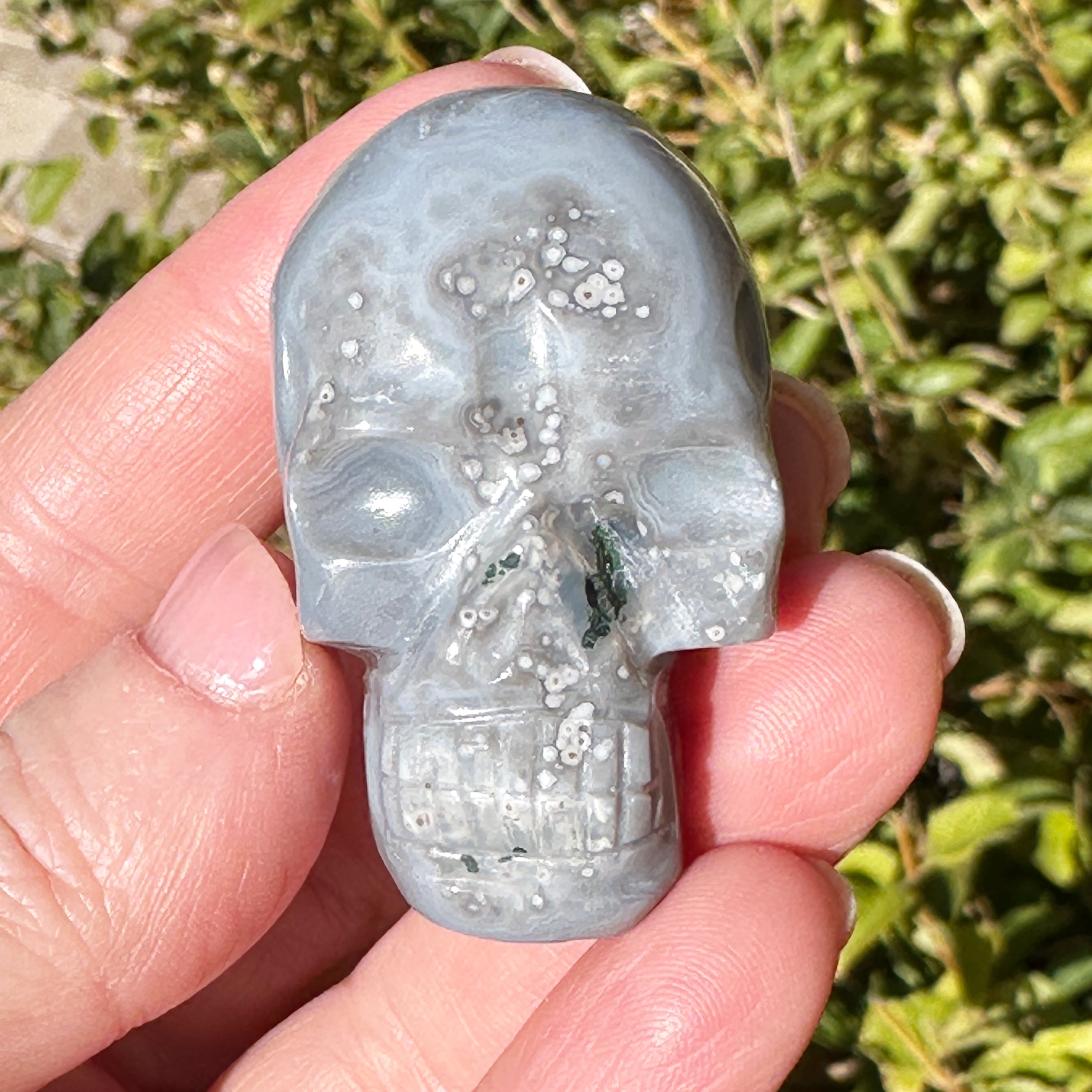 MASTER CARVER LEANDRO DE SOUZA – Luscious Earth Creation