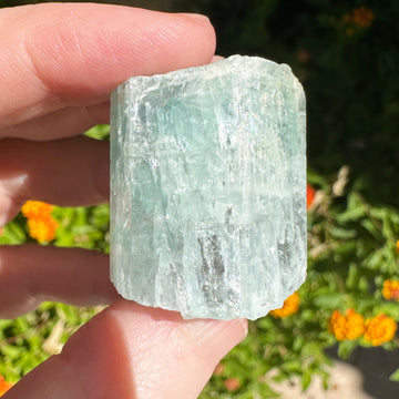 Genuine Aquamarine Crystal Column Hexagon