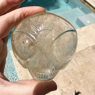 Golden Rutile Citrine Quartz Star Child With Rainbows Palm Crystal Skull Carved by Leandro de Souza