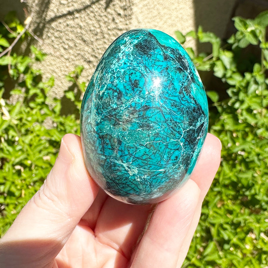 Chrysocolla Egg from Peru High Grade