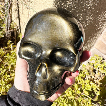 Gold Sheen Obsidian Crystal Skull