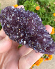 Amethyst Geode Raw