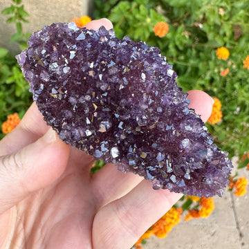 Amethyst Geode Raw