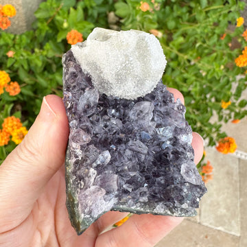 Amethyst Geode Raw With Clear Quartz Crystals and Rainbows