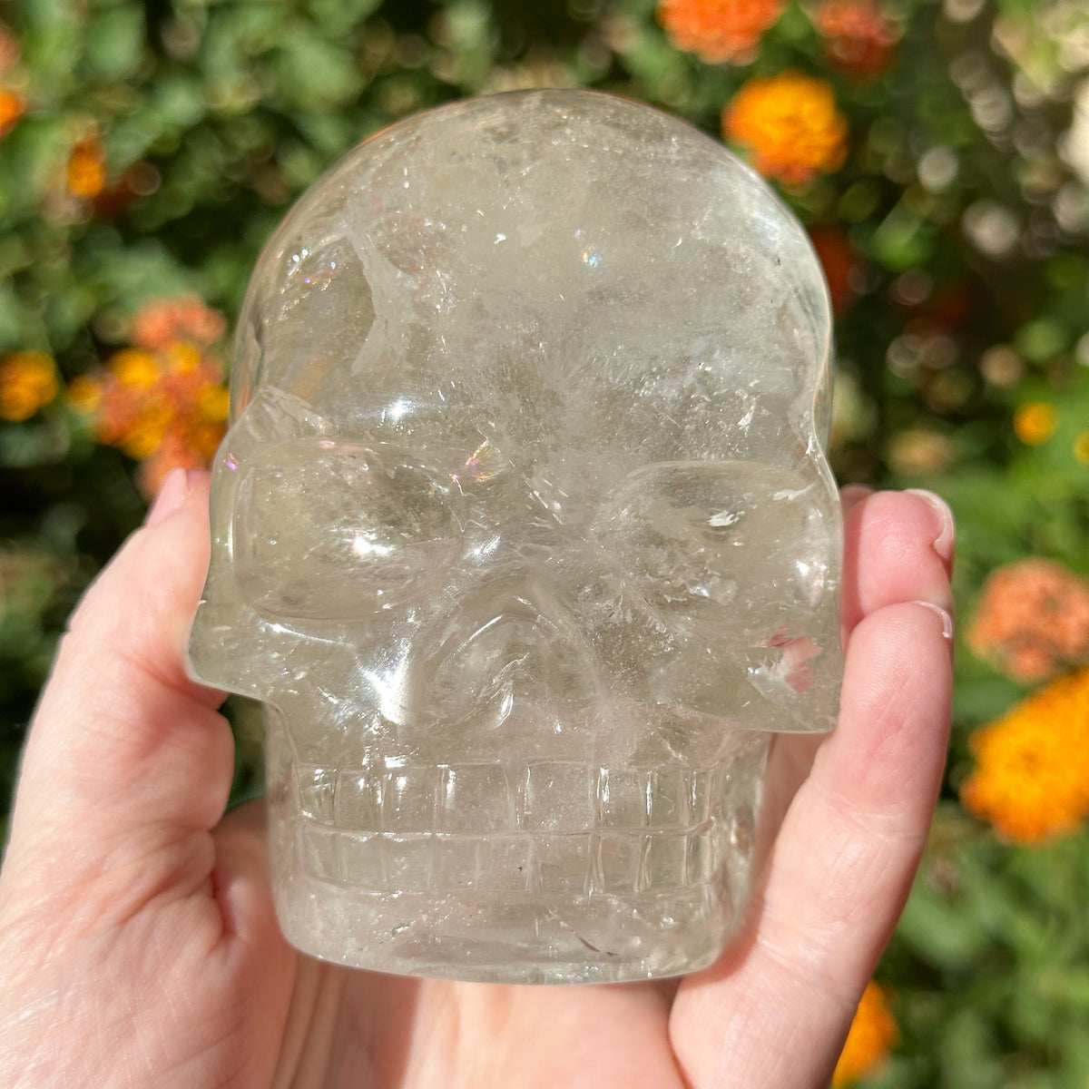 Lemurian Crystal Skull with Rainbows Carved by Leandro de Souza