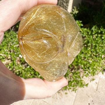 Large Rutile Citrine Lodolite Quartz Starbeing Palm Crystal Skull Carved by Leandro de Souza