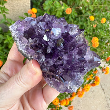 Amethyst Geode Raw
