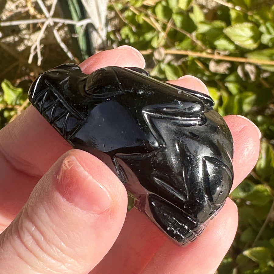 Rare Black and Green Tourmaline Phoenix by Leandro de Souza