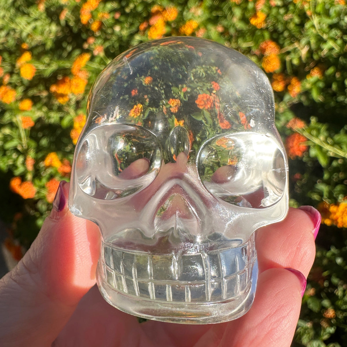 Ultra Clear Sirius Quartz Crystal Skull Carved by Leandro de Souza