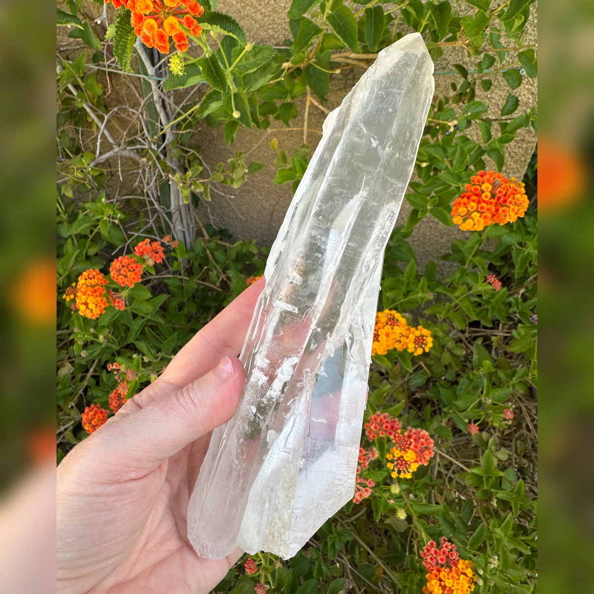 Twin Lemurian Quartz Crystal from Diamantina Brazil