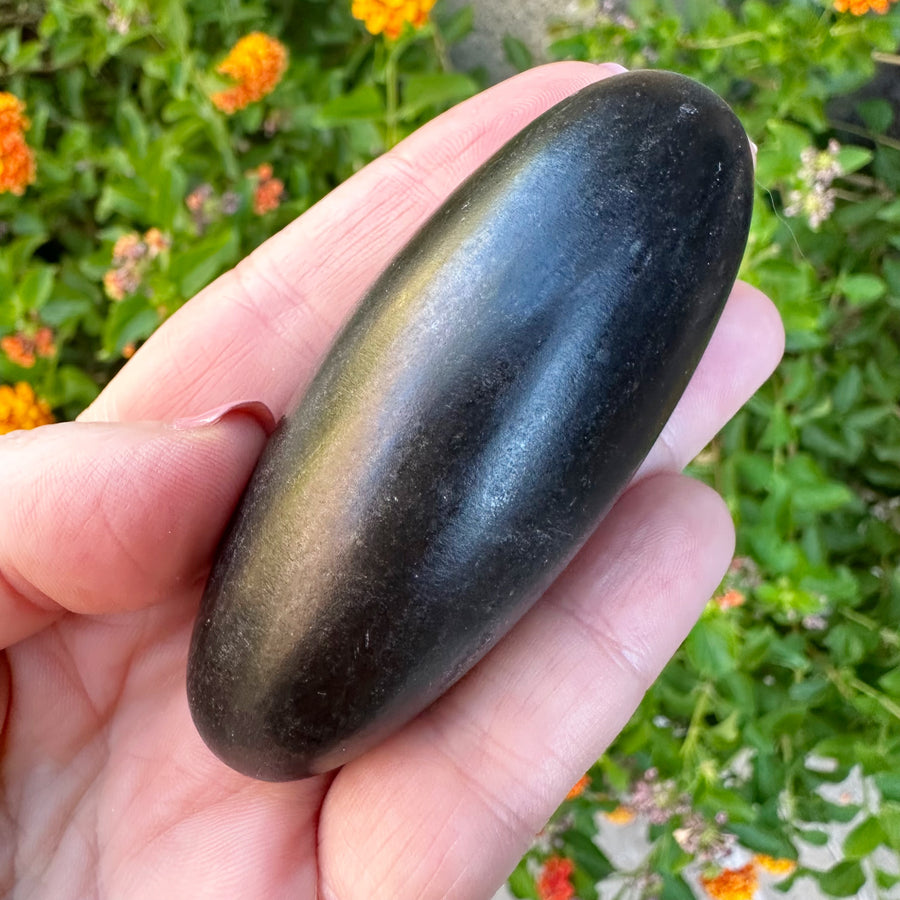 Rare Black Shiva Lingam