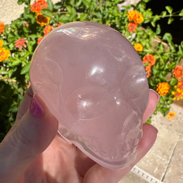 Rainbow Serenity Rose Quartz Crystal Skull Master with Rainbows