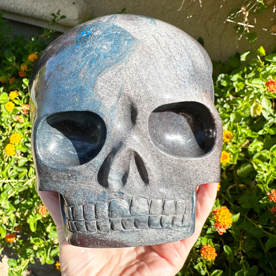 Blue Richterite Magical Child Crystal Skull Carved by Leandro de Souza