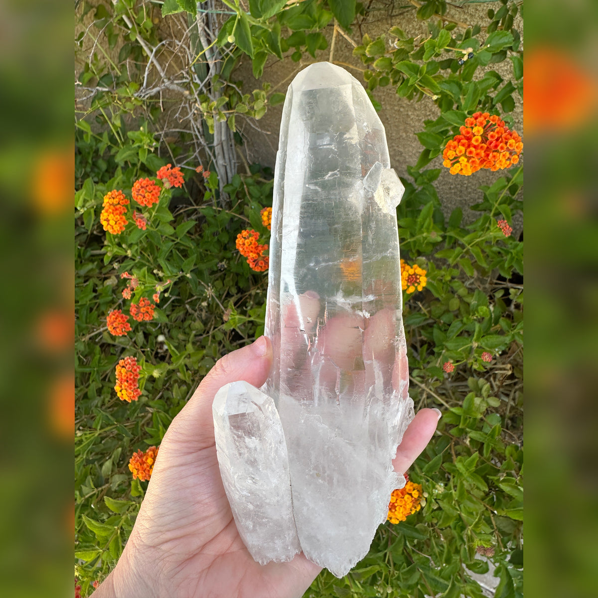 Lemurian Quartz Cluster Crystal from Diamantina Brazil
