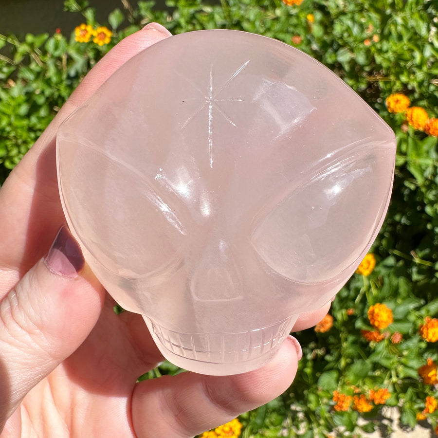 Rose Girasol Quartz Palm Starbeing Crystal Skull Carved by Leandro de Souza