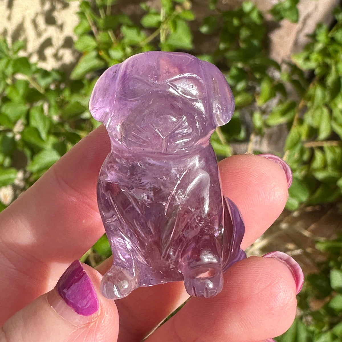 Amethyst Crystal Puppy Carved by Leandro de Souza