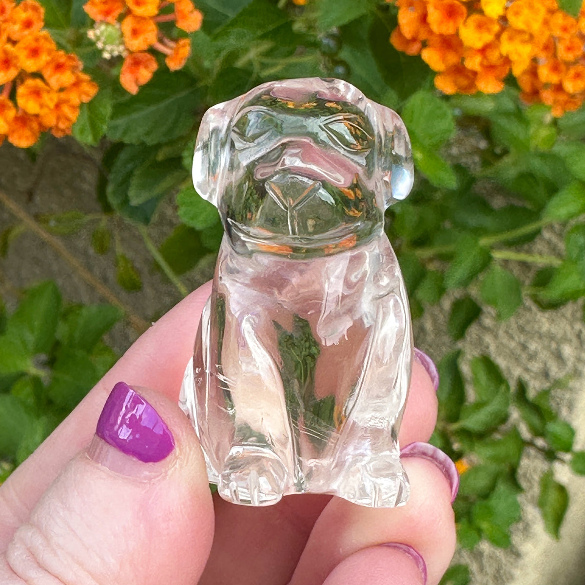 Sirius Quartz Crystal Puppy Carved by Leandro de Souza