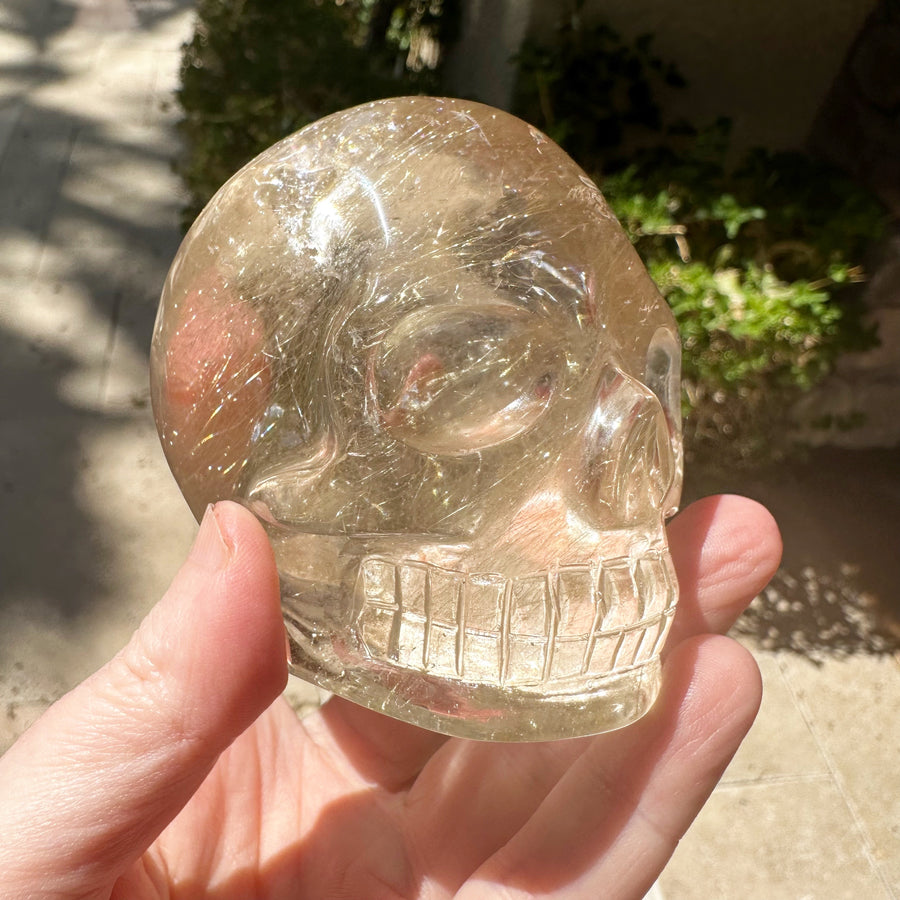 Golden Rutile Citrine Crystal Skull With Rainbows Carved by Leandro de Souza