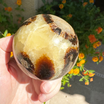 Large Dragon Septarian Crystal Sphere