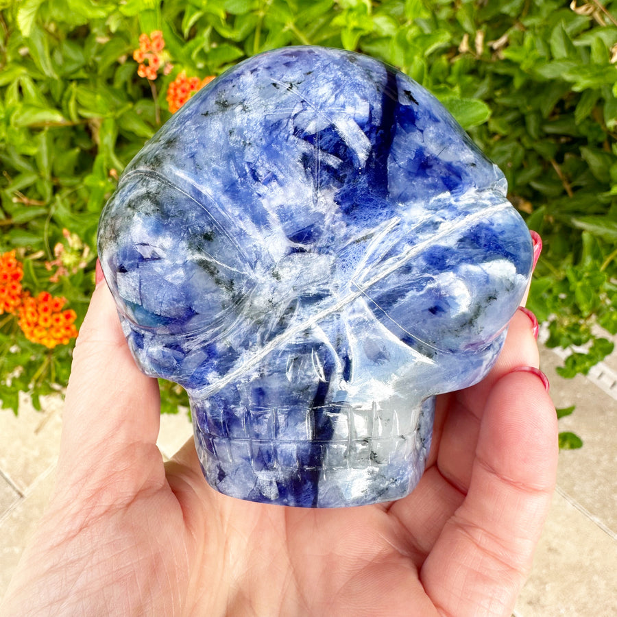 Sodalite Star Child Crystal Skull Carved by Leandro de Souza