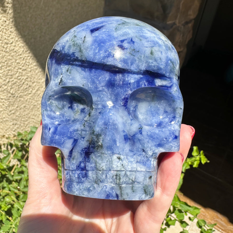 Sodalite Magical Child Crystal Skull Carved by Leandro de Souza