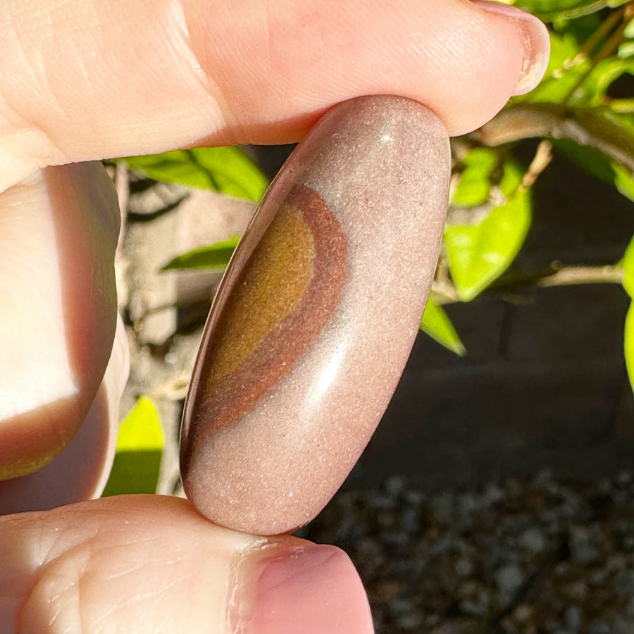 Polished Shiva Lingam