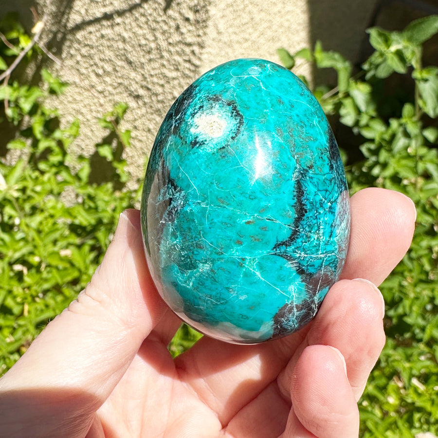 Chrysocolla Egg from Peru High Grade