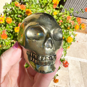 Pyrite Crystal Skull Master